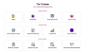 the cfo centre infographic, displaying the 12 areas of businesses they work to improve